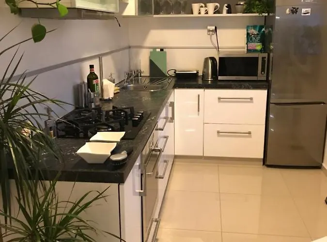 U Kaplicky Apartment *